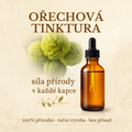 Ořechová tinktura