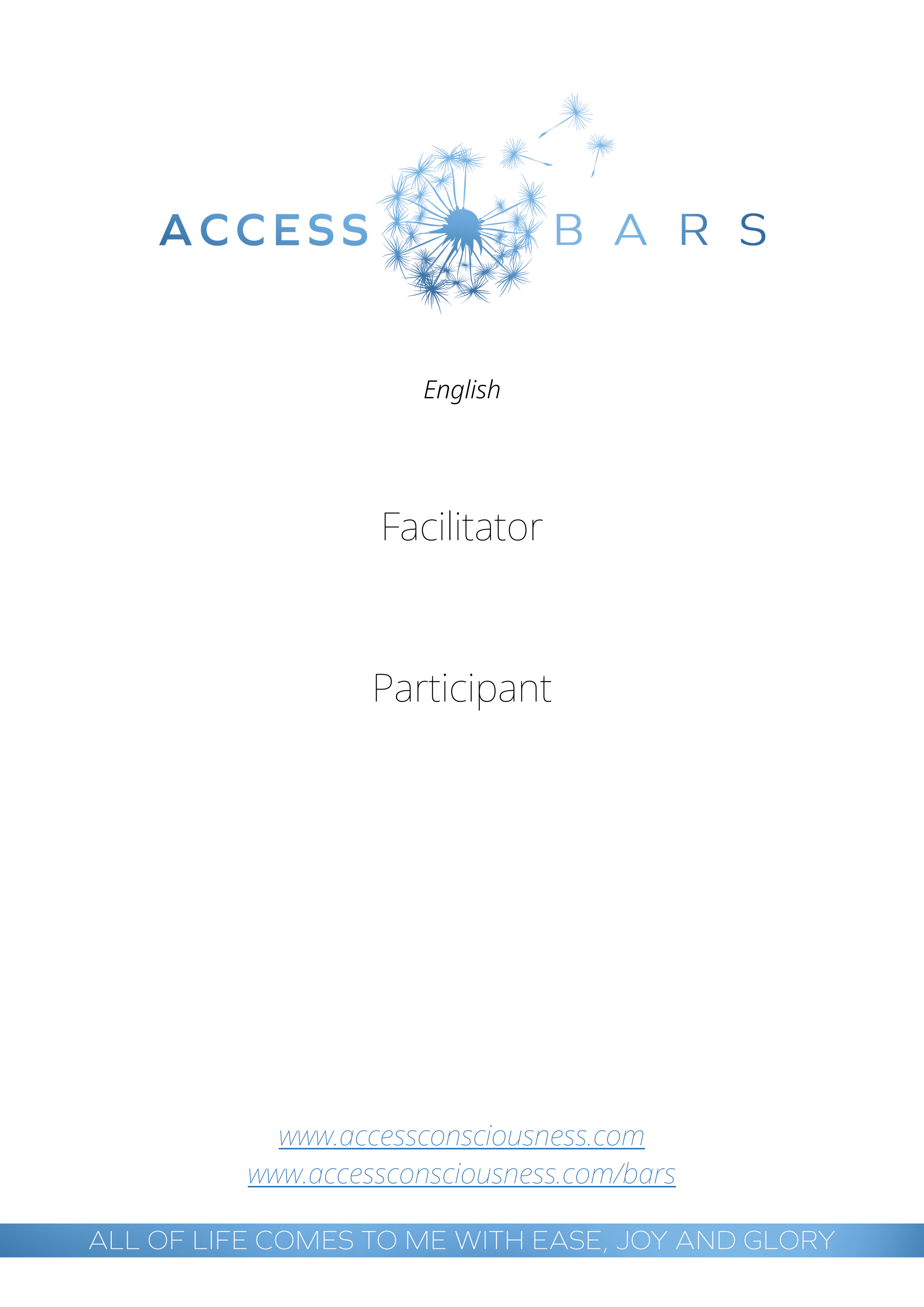 Manuál Access Bars