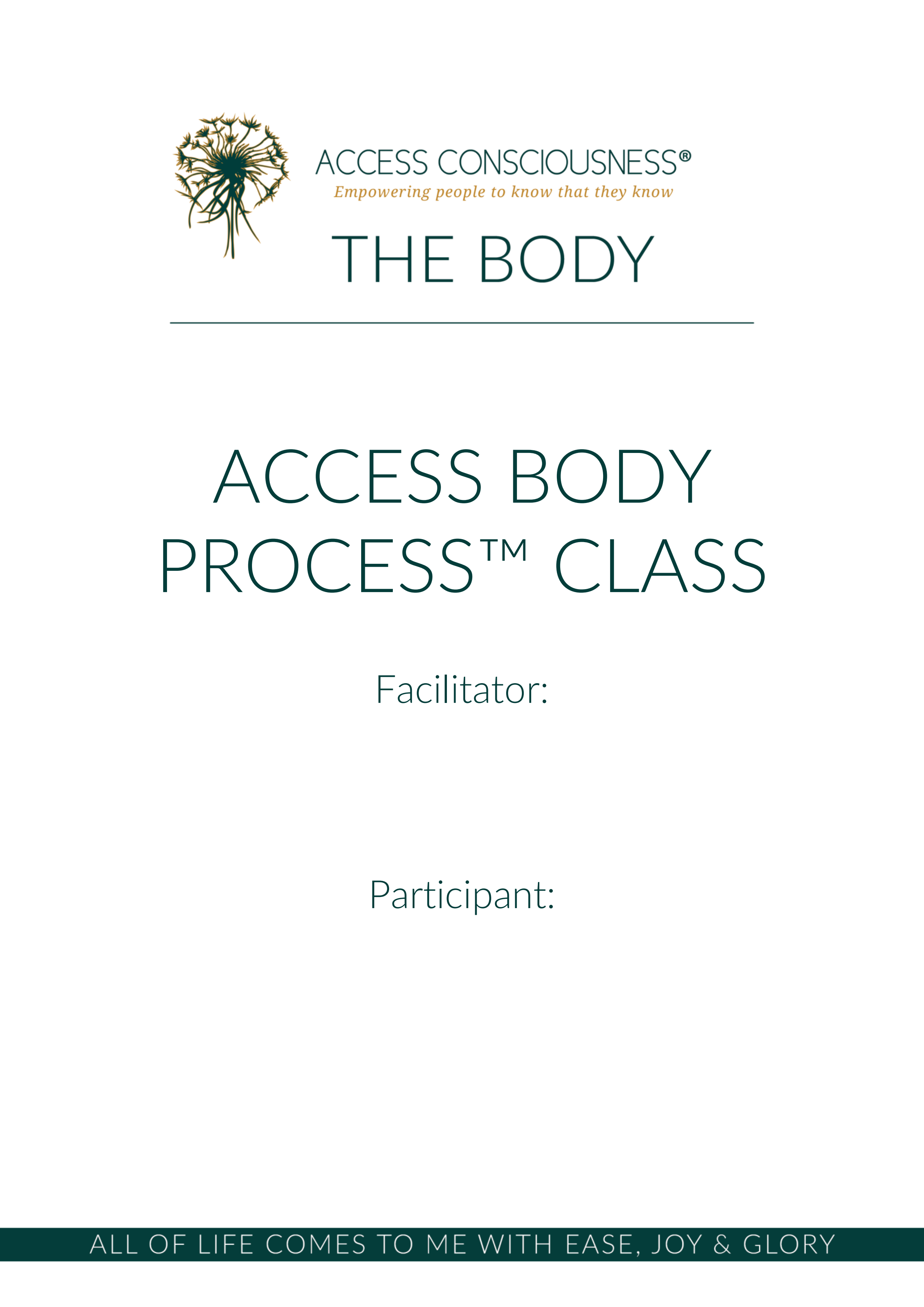 Manuál Access Body Process
