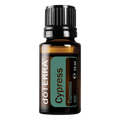 cypress