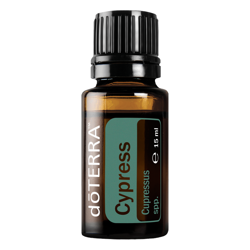 cypress