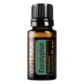 eucalyptus