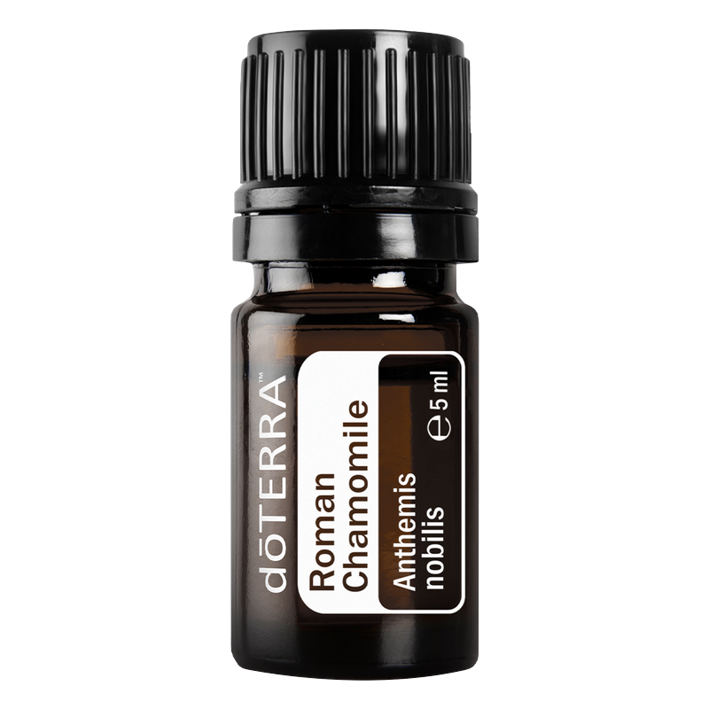 romanchamomille